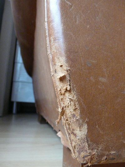 repair and recolouring of club chair