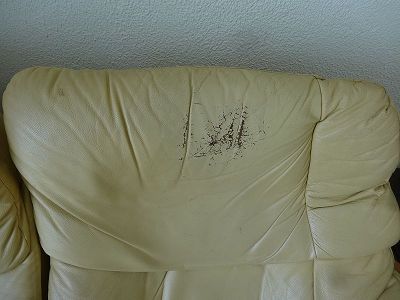 faisabilité de la renovation