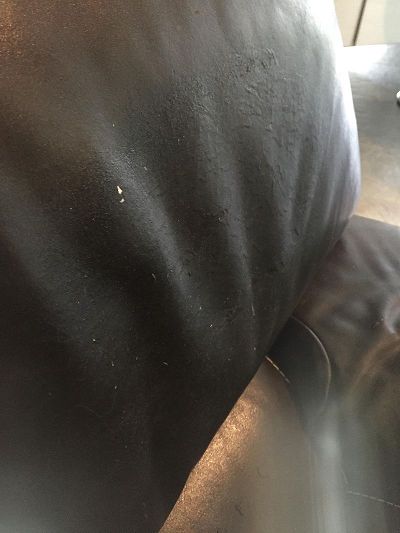 Rénovation canapé croûte de cuir