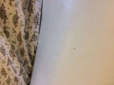 nettoyage et entretien canapé cuir blanc récent