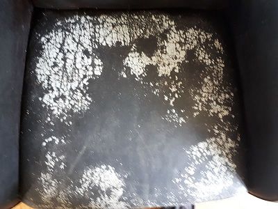 Enlever plastique collé sur fauteuil cuir