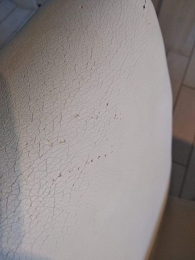 Traitement griffures de chat