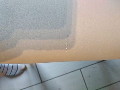 Traitement griffures de chat