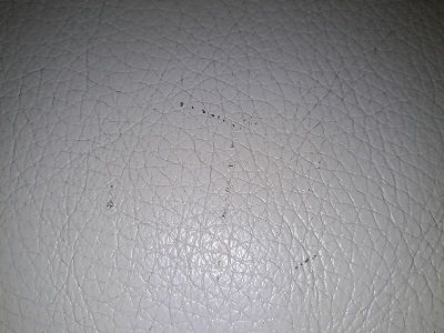 Comment réparer griffures de chat / chaton sur canapé en cuir ?