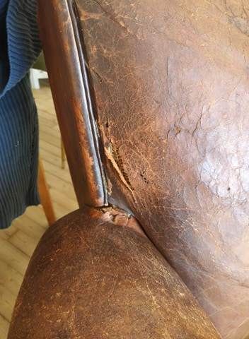 Rénovation fauteuil club 2683