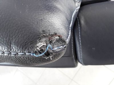 Têtière canapé mordillé par mon chien