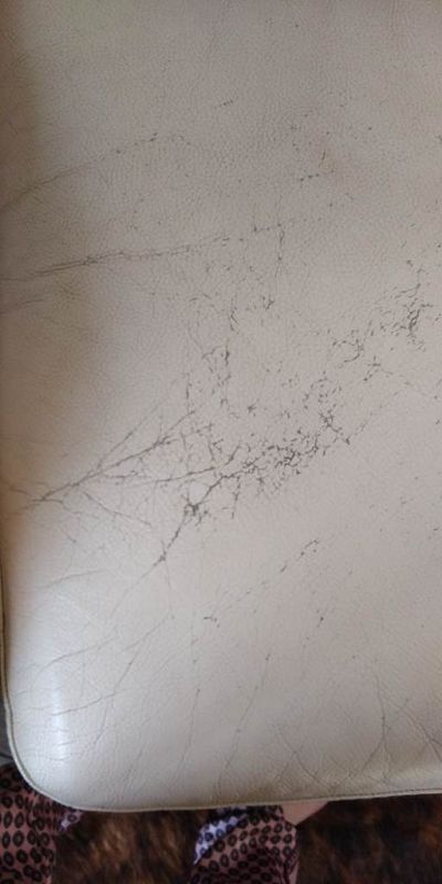 Rénovation canapé cuir Ivoire arcardia romana 4D91