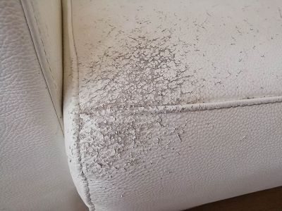 Coupure de 3 cm et griffures de chat