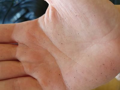 Togo Roset Vintage - Fine péllicule