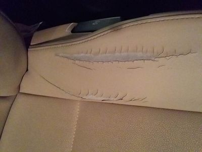 Assise siège conducteur BMW X3