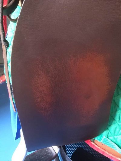 renovation  color sur selle du au frottement des shaps