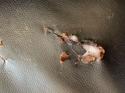 Canape en cuir abime par un produit