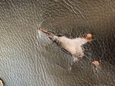 Canape en cuir abime par un produit