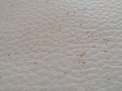 Cuir qui pèle lors du nettoyage