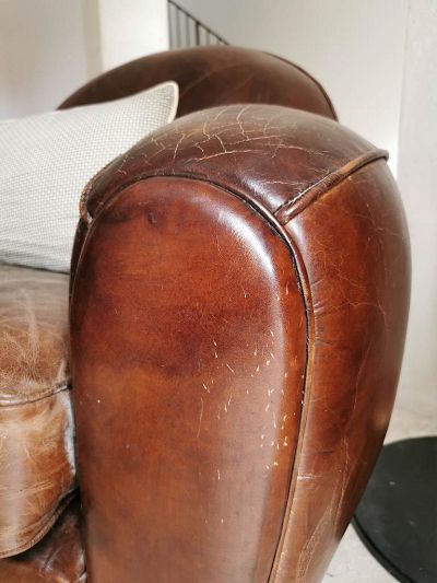 Griffure chat club cuir