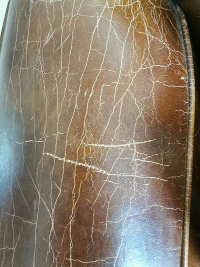 Griffure chat club cuir