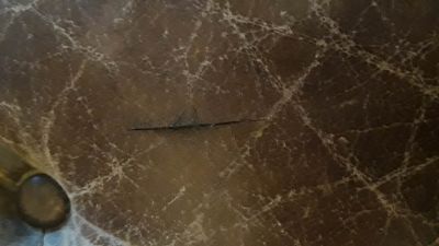 Entaille accoudoir fauteuil