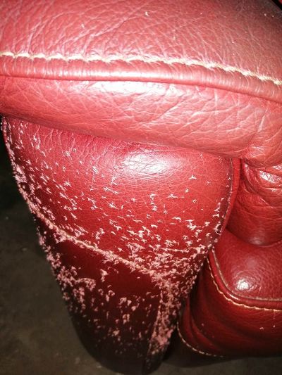 griffures chat sur les montants du canapé et fauteuils