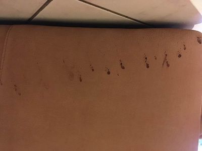 Tache, rénovation canapé