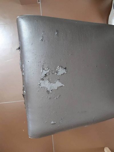 réparation chaises en simili cuir