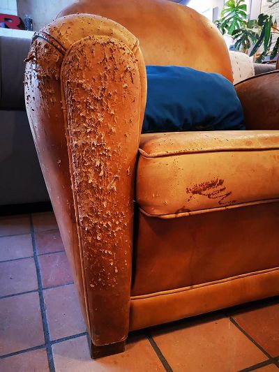 Restauration de 2 fauteuils clubs griffés et tachés