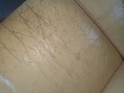 conseil pr achats produits