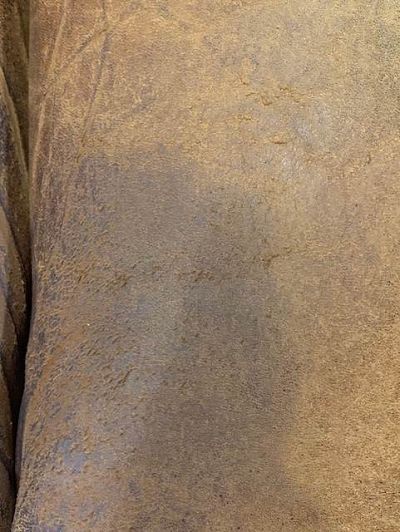 Comment réparer assise poreuse