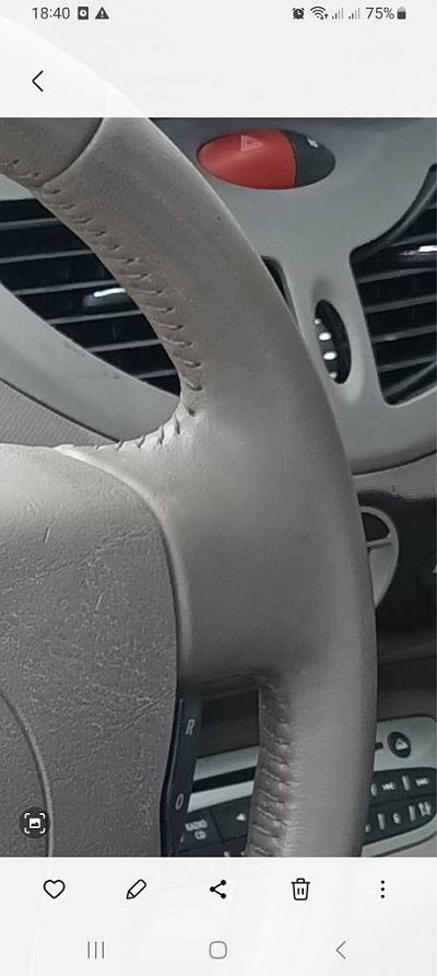 Ref couleur volant cuir