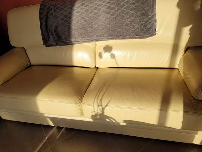 Changer couleur canapé cuir de buffle