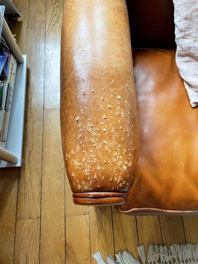 Réparation et entretien d'un canapé club