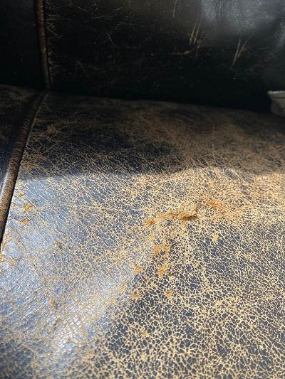 rénovation canapé deux tons (espresso)