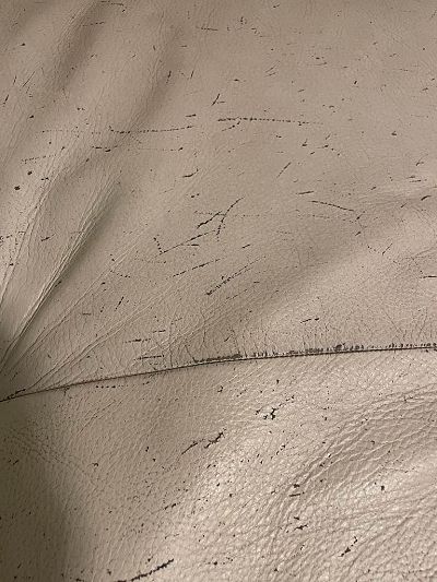 Restauration griffures de chats Canapé Roche Bobos