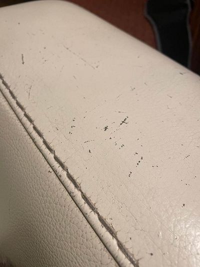 Restauration griffures de chats Canapé Roche Bobos