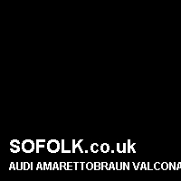 Leather seat color AUDI