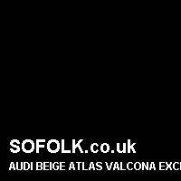 Leather seat color AUDI