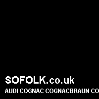Leather seat color AUDI