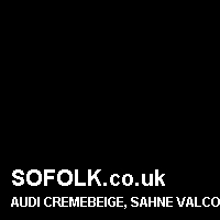 Leather seat color AUDI