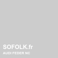 Leather seat color AUDI
