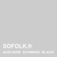 AUDI leather seat shade
