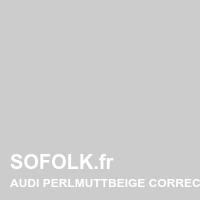 AUDI leather seat shade