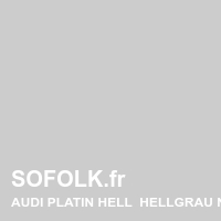AUDI leather seat shade