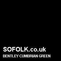 Leather seat color BENTLEY