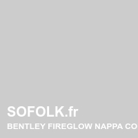 BENTLEY leather seat shade
