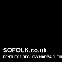 Leather seat color BENTLEY