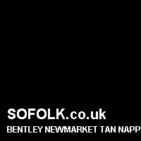 Leather seat color BENTLEY