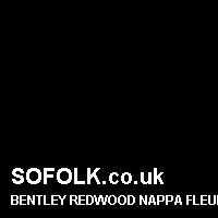 Leather seat color BENTLEY