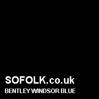 Leather seat color BENTLEY