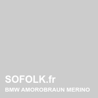 BMW leather seat shade