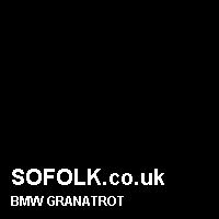 Leather seat color BMW