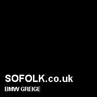 Leather seat color BMW